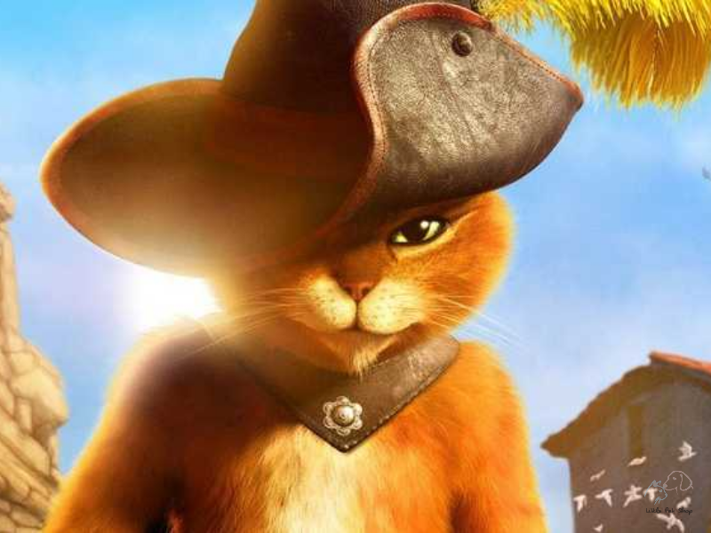 15 bộ phim về mèo hay và ý nghĩa