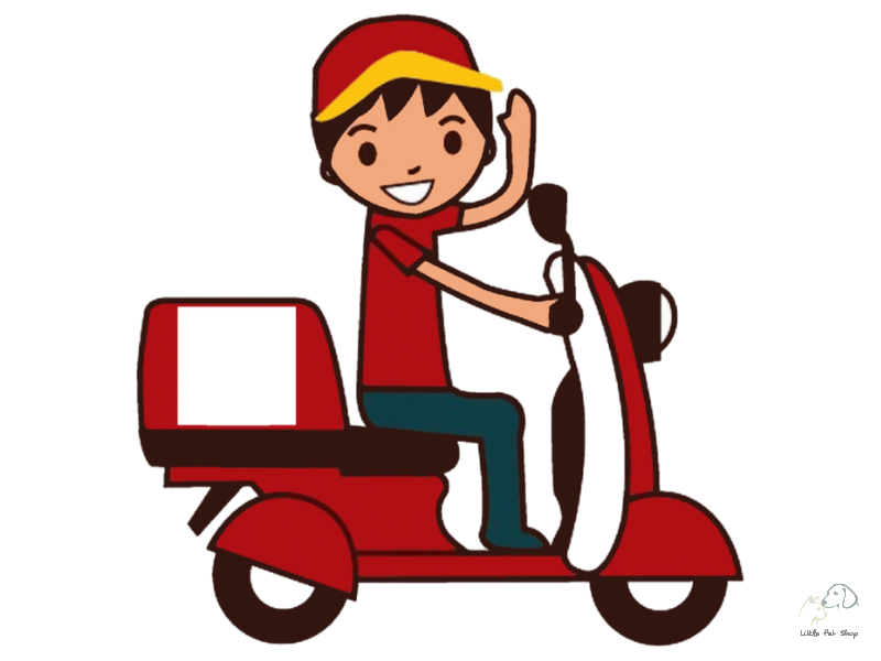 CHÍNH SÁCH GIAO HÀNG